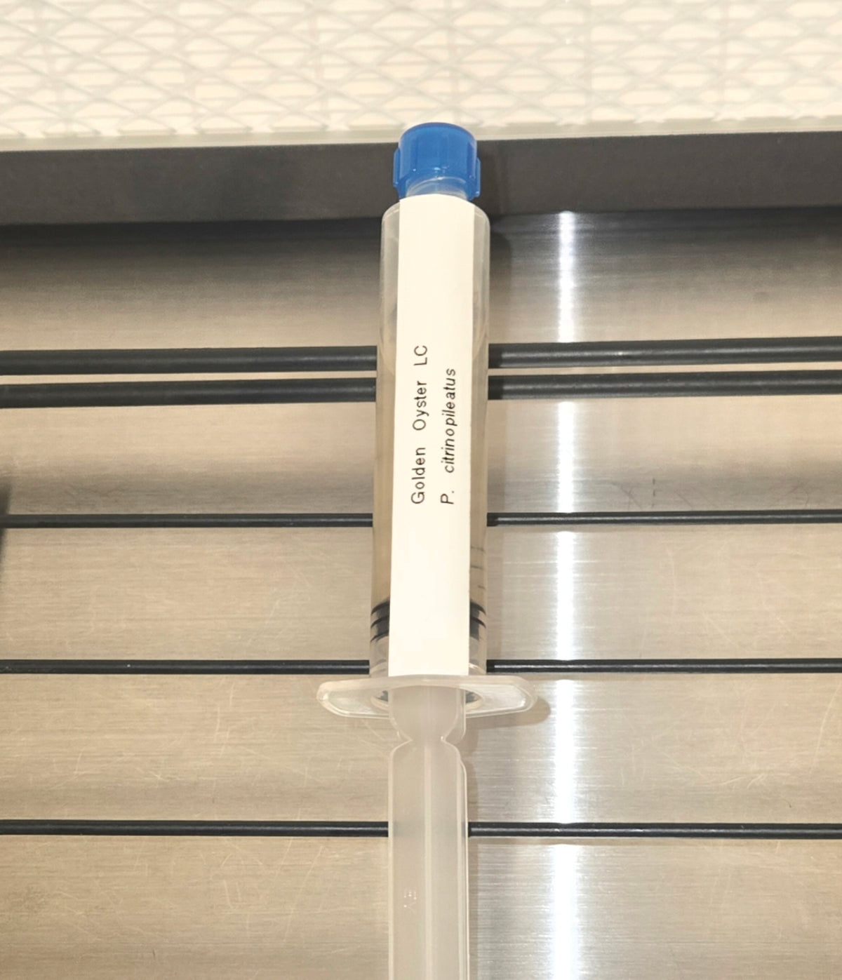 Premium Gold Oyster Liquid Culture Syringe (10ml)