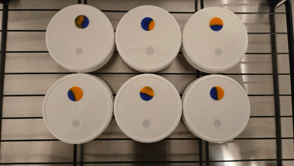 Premium Dual-Purpose PP5 Jar Lid - Dr. Myc Style Port