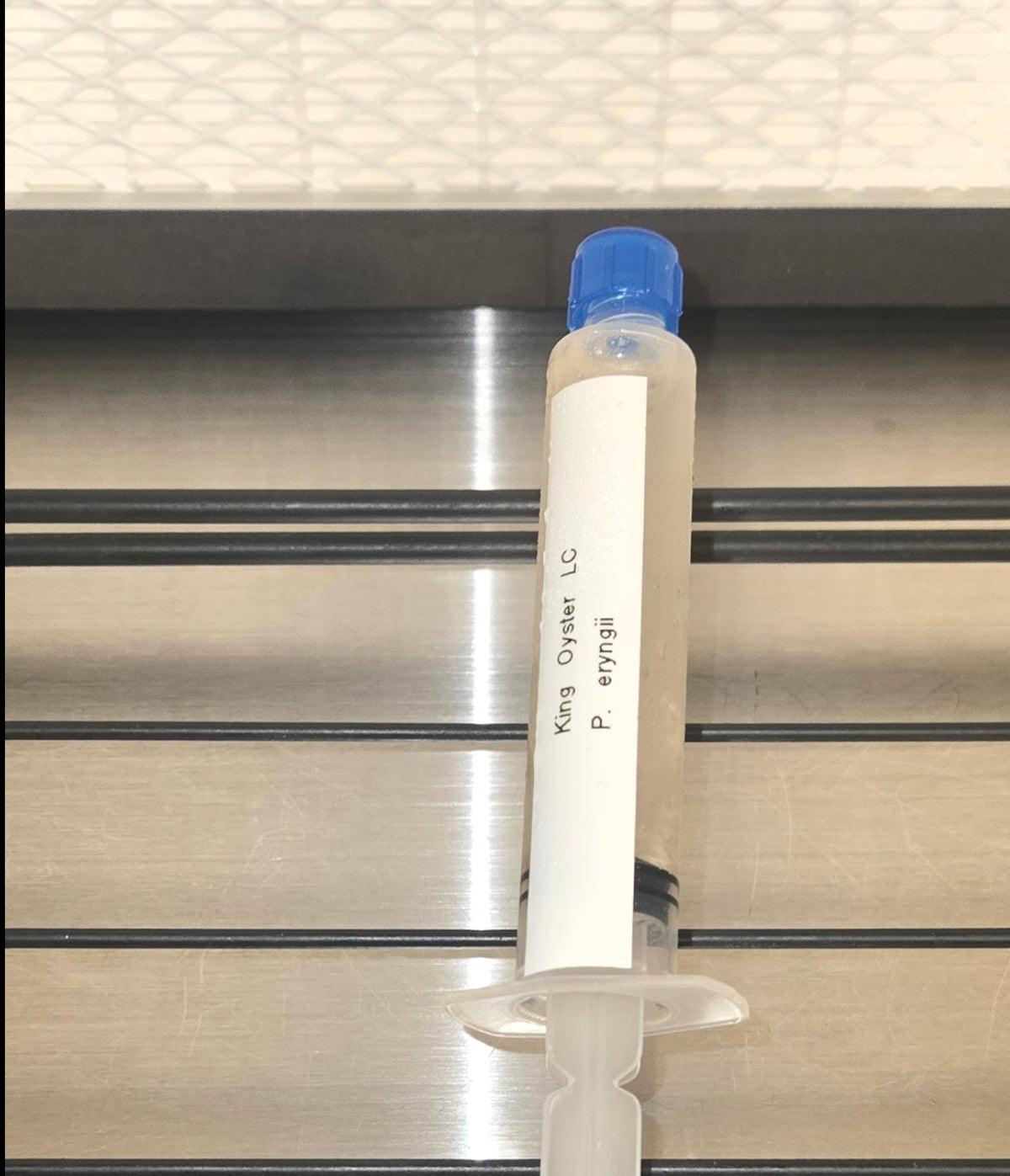 Premium King Oyster Liquid Culture Syringe (10ml)