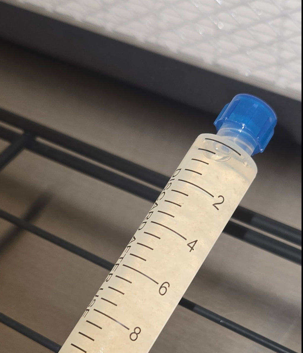 Premium Cordyceps Militaris Liquid Culture Syringe (10ml)