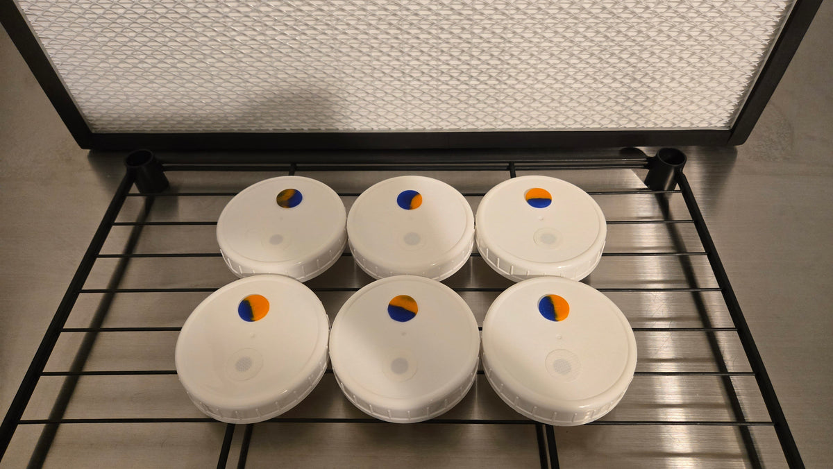 Premium Dual-Purpose PP5 Jar Lid - Dr. Myc Style Port