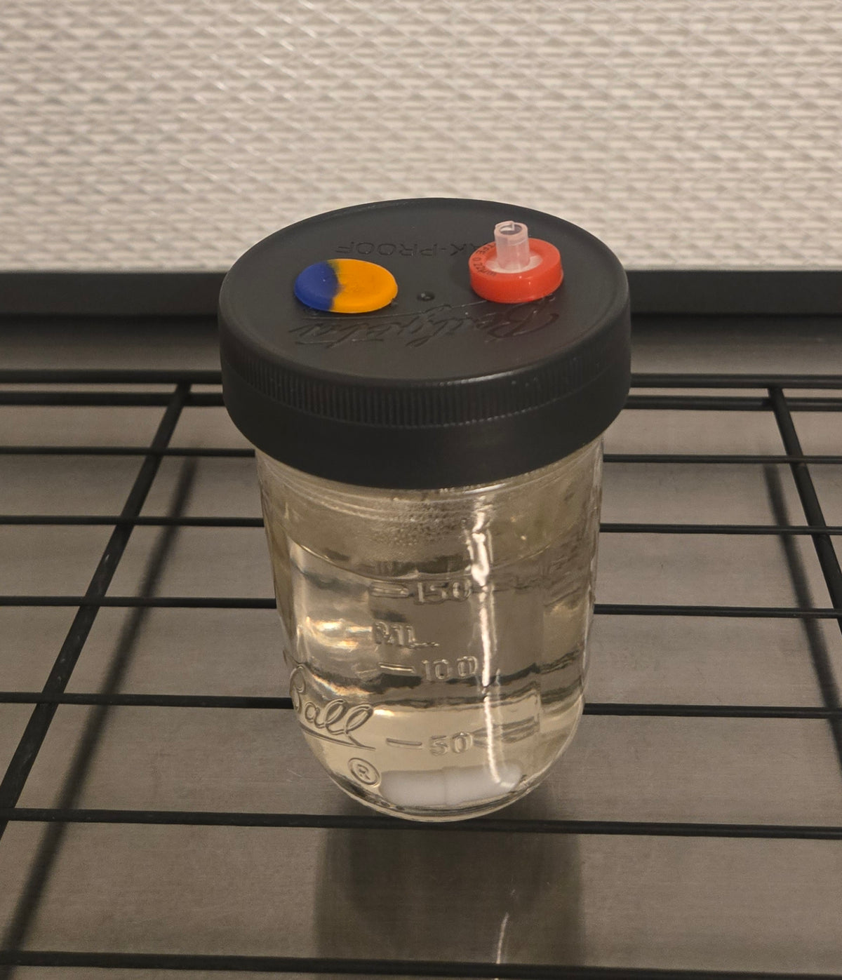Premium Mycology Inoculation Solution - 8oz Master Broth Jar