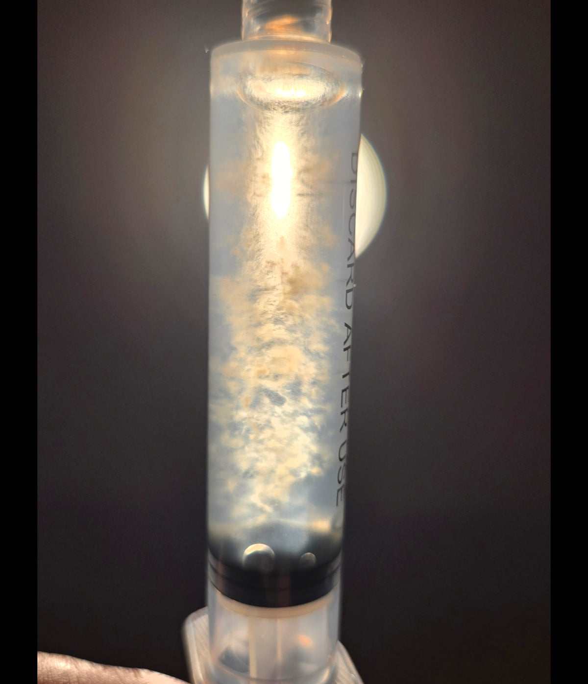 Premium Turkey Tail Liquid Culture Syringe (10ml)