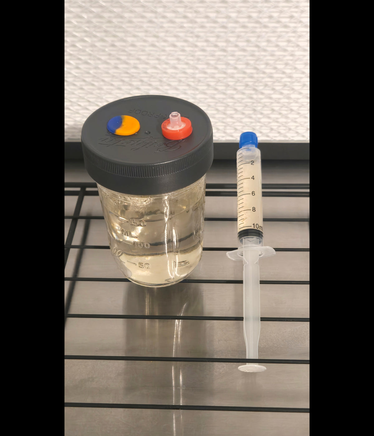 Premium Mycology Liquid Culture + Modified Lid & Master Jar Bundle